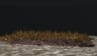 This illustration shows what some ancient animals might have looked like. Golden-brown squiggly projections cover its top and it