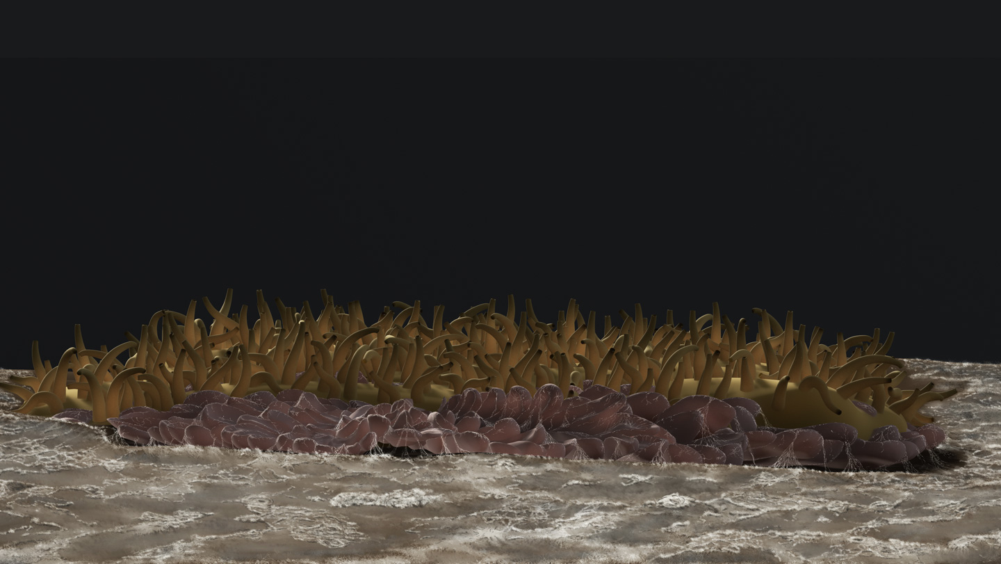 This illustration shows what some ancient animals might have looked like. Golden-brown squiggly projections cover its top and it