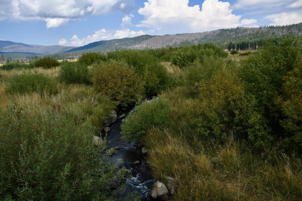 12-stream-flowing-through-the-Tásmam-Koyóm