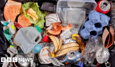 Weekly food waste collections set to start in Brighton and Hove