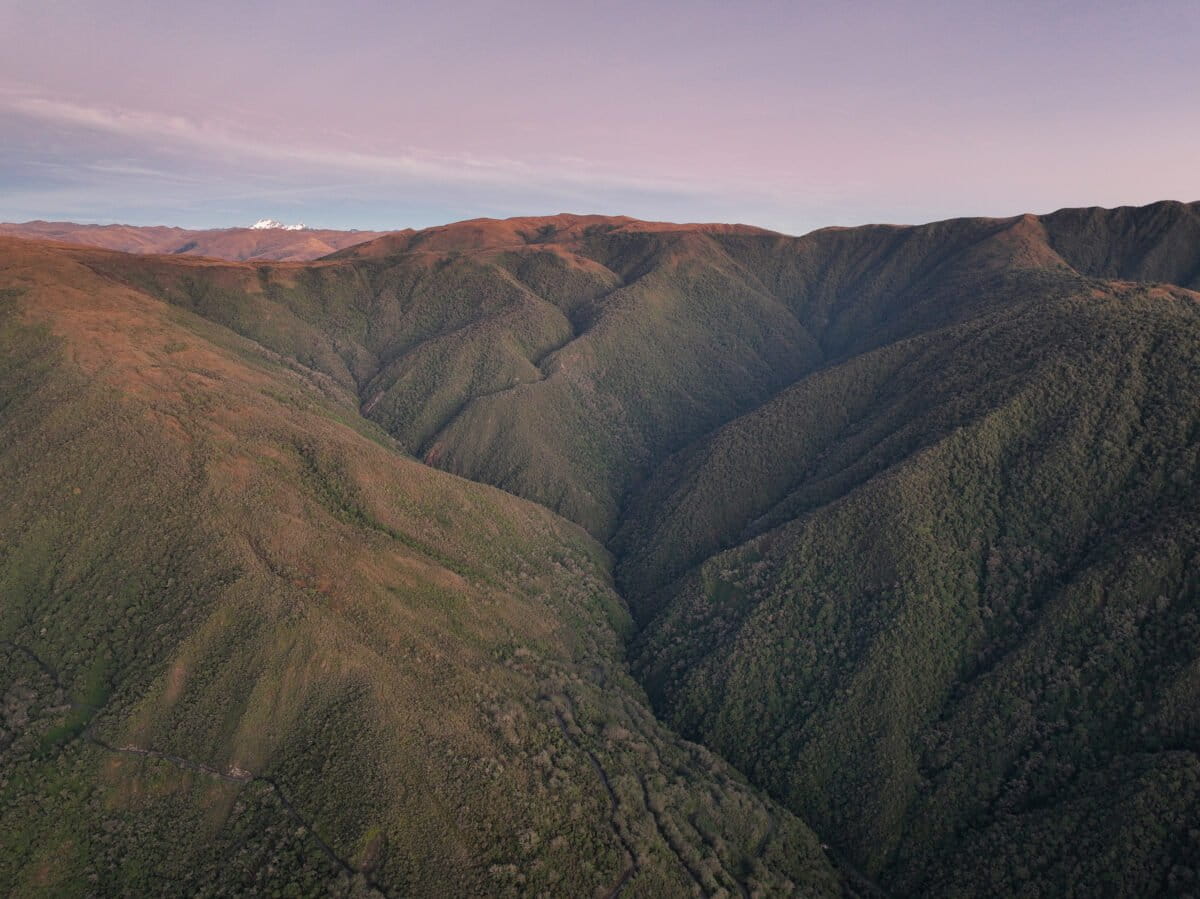 Rainforest in the Western Amazon. Image by Rhett Ayers Butler