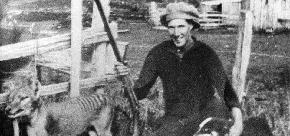 Wilf_Batty_last_wild_Thylacine