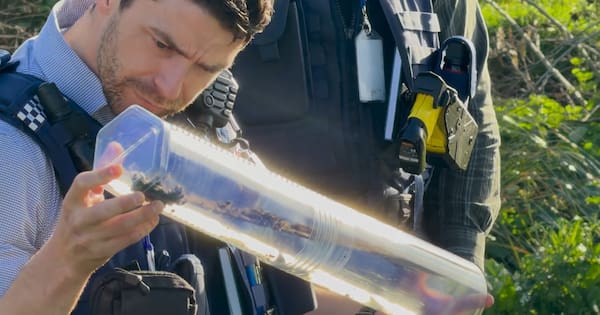 Machete found in reserve during probe into Kyle Whorrall's killing