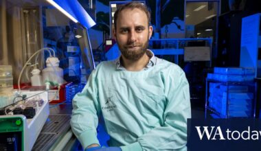 Australian startup selling 'wetware' bio-computers made of human brain cells