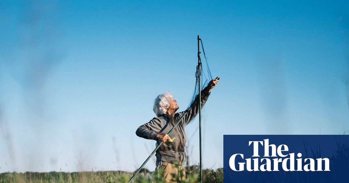 ‘A little bit of joy’: can tiny rafts save endangered sparrows from rising seas? | Birds