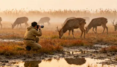 We studied 900+ endangered species across 20 years and this Chinese wetland’s resurrection miracle changed everything we thought we knew about conservation