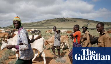 Kenya’s Turkana people genetically adapted to live in harsh environment, study suggests | Global development