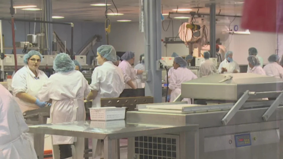 The seafood processing sector on P.E.I. relies heavily on temporary foreign workers. (Laura Meader/CBC)