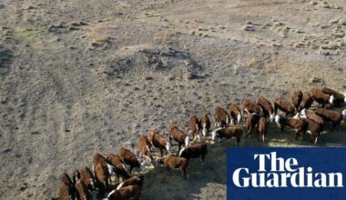 Ground zero: rain-starved southern Australia is grappling with one of the worst droughts in memory | Rural Australia