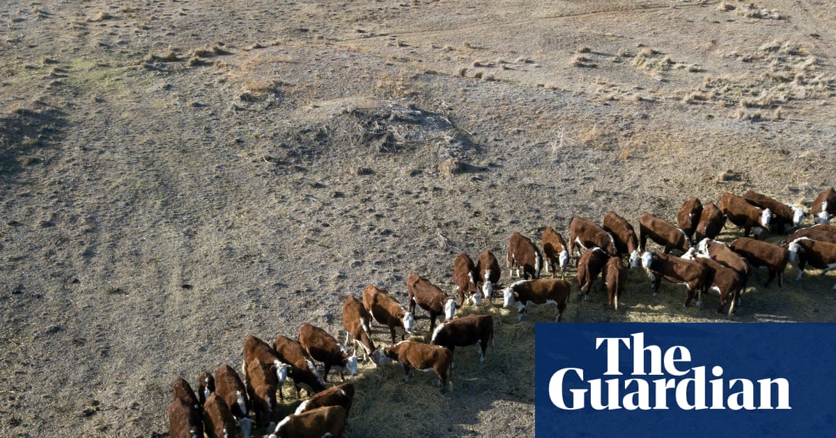 Ground zero: rain-starved southern Australia is grappling with one of the worst droughts in memory | Rural Australia
