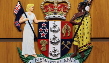 SunLive - BoP car killing: Woman faces mental health tests