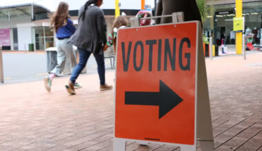 SunLive - Errors in voting packs could lead to change