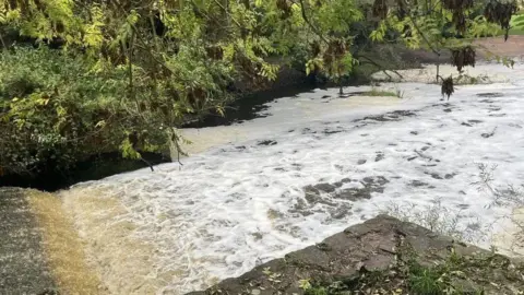 Clean The Weaver A weir along a river, with foaming water water and overhanging branches from nearby trees. There is a section of brick-built wall extending into the river alongside the weir.