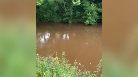 Brown water in a river with green vegetation on each side of the riverbank