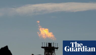 The Woodside case proves what we’ve long suspected: Australia’s ‘environment protection’ law does no such thing | Environment