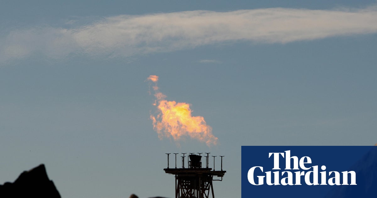 The Woodside case proves what we’ve long suspected: Australia’s ‘environment protection’ law does no such thing | Environment