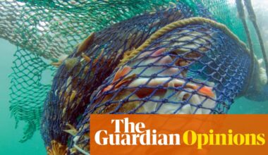 The Guardian view on fishing and nature: bottom-trawling boats don’t belong in conservation zones | Editorial