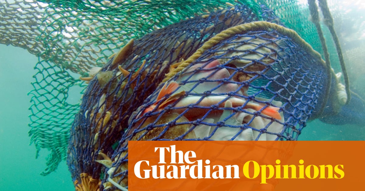 The Guardian view on fishing and nature: bottom-trawling boats don’t belong in conservation zones | Editorial