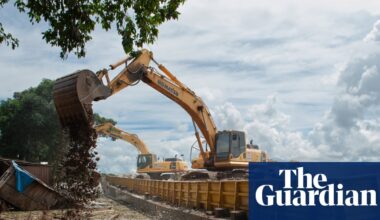 How the world’s taste for soya is eating Brazil’s Amazon | Amazon rainforest