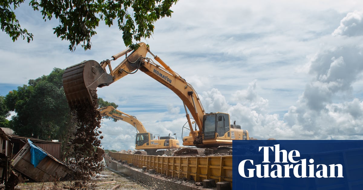 How the world’s taste for soya is eating Brazil’s Amazon | Amazon rainforest