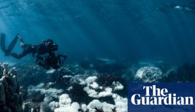 World’s oceans fail key health check as acidity crosses critical threshold for marine life | Ocean acidification