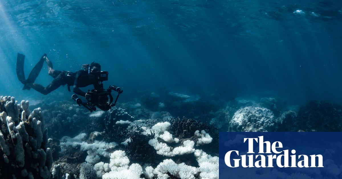 World’s oceans fail key health check as acidity crosses critical threshold for marine life | Ocean acidification