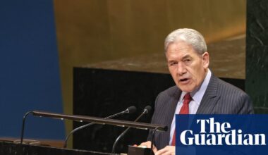 Dismay in New Zealand after government fails to recognise Palestinian statehood | New Zealand