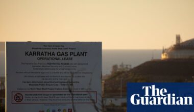 Australia’s biggest gas project greenlit to 2070 with ‘partial’ protection for Indigenous rock art | Environment