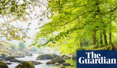 Revealed: river pollution twice as bad inside national parks as outside them | Water