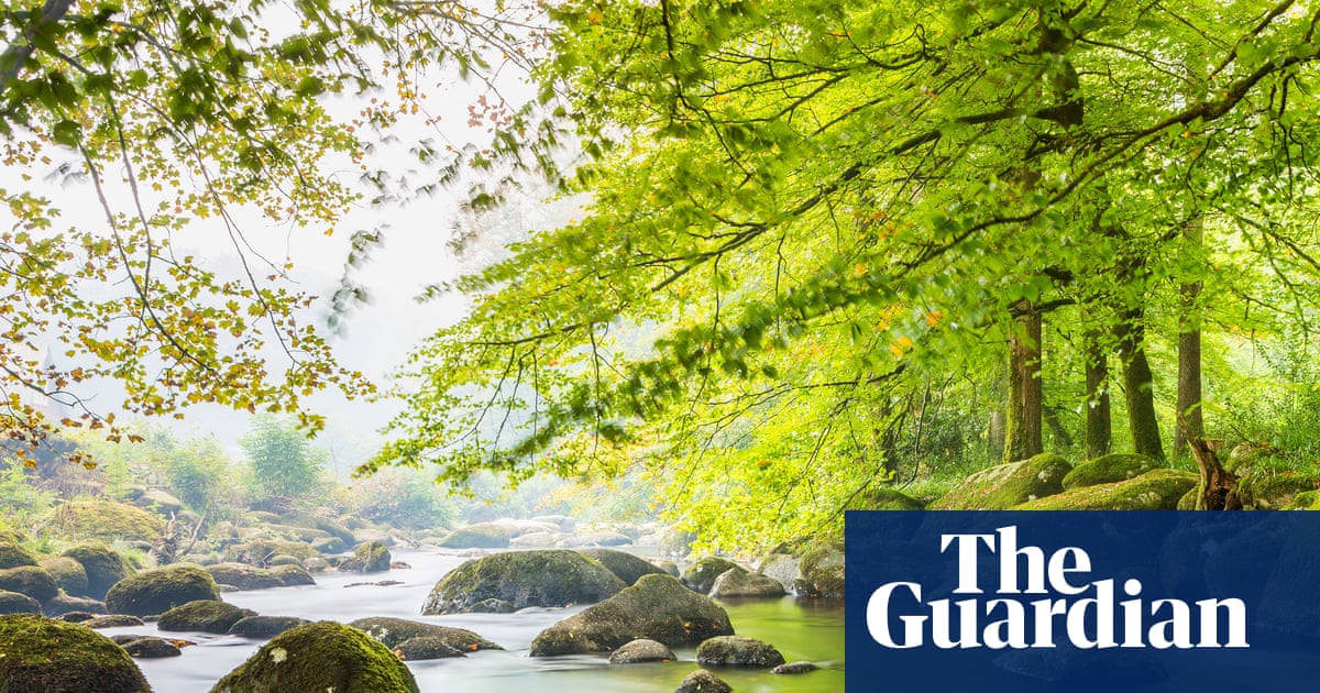 Revealed: river pollution twice as bad inside national parks as outside them | Water