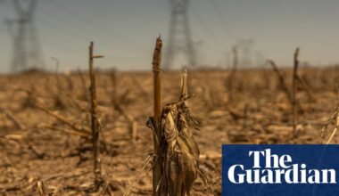 Weatherwatch: Flash droughts come on quickly but effects can wreak havoc | Drought