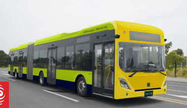 Five bendy buses ordered for Wellington's busiest route