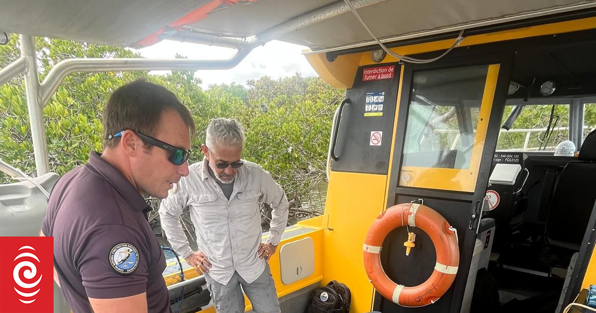 Female turtle rescued after being tied to a tree in Koutio mangrove swamp