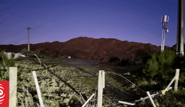 Illegal dirt bike riders terrify livestock, tear through native trees Porirua