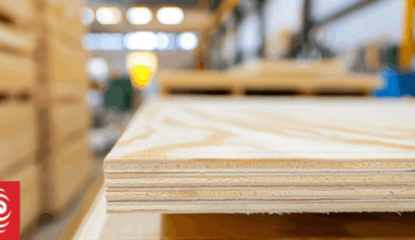 Tokoroa plywood plant closure looms, union says decision 'fait accompli'