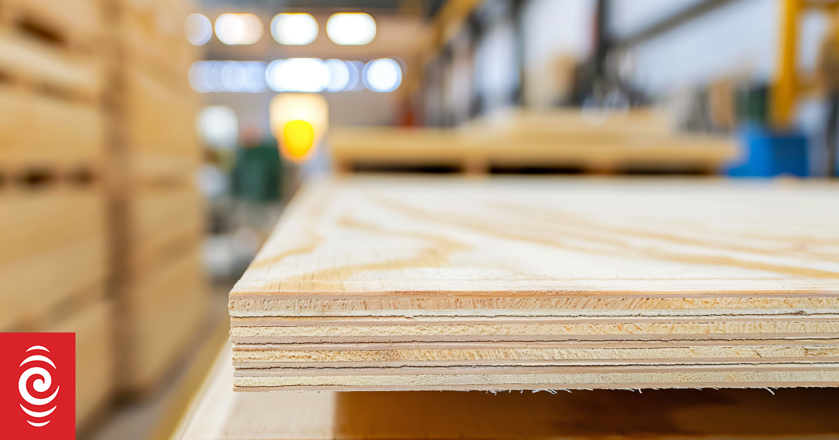 Tokoroa plywood plant closure looms, union says decision 'fait accompli'