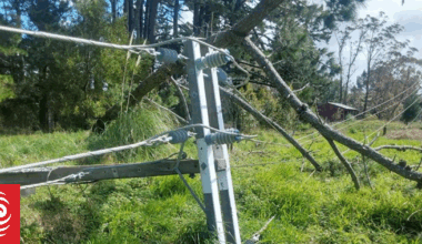 Thousands still without power after high winds across Coromandel, Bay of Plenty