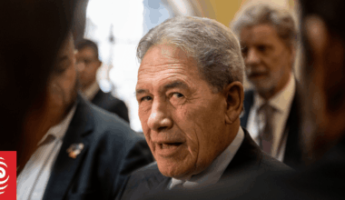 Winston Peters scolds David Seymour for 'talking out of his field' on Palestine