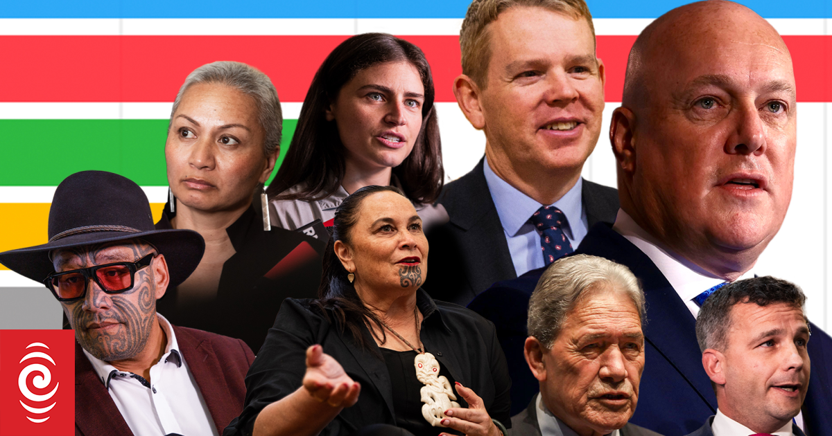 RNZ-Reid Research poll: Where the public stands on capital gains tax