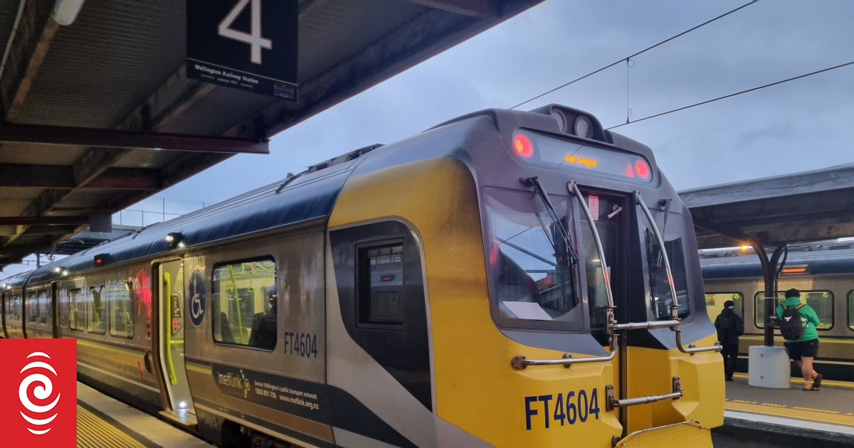 Wellington commuter chaos as train line halted