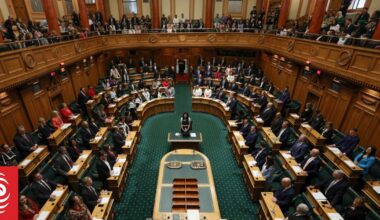 Government passes adoption bill under urgency