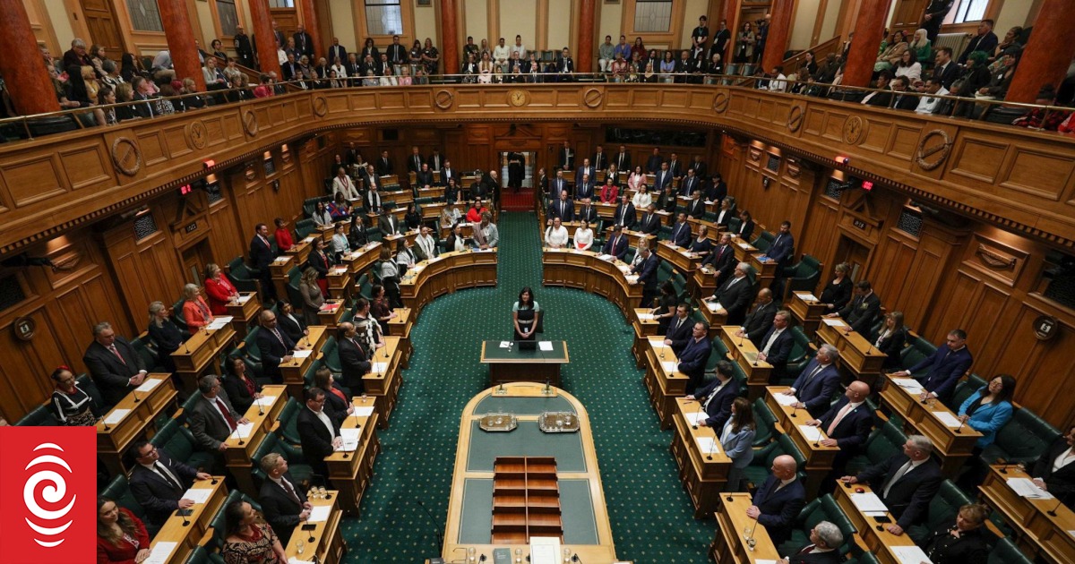Government passes adoption bill under urgency