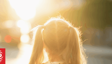 Mother sues school principal for defamation over emails to Family Court-appointed lawyer