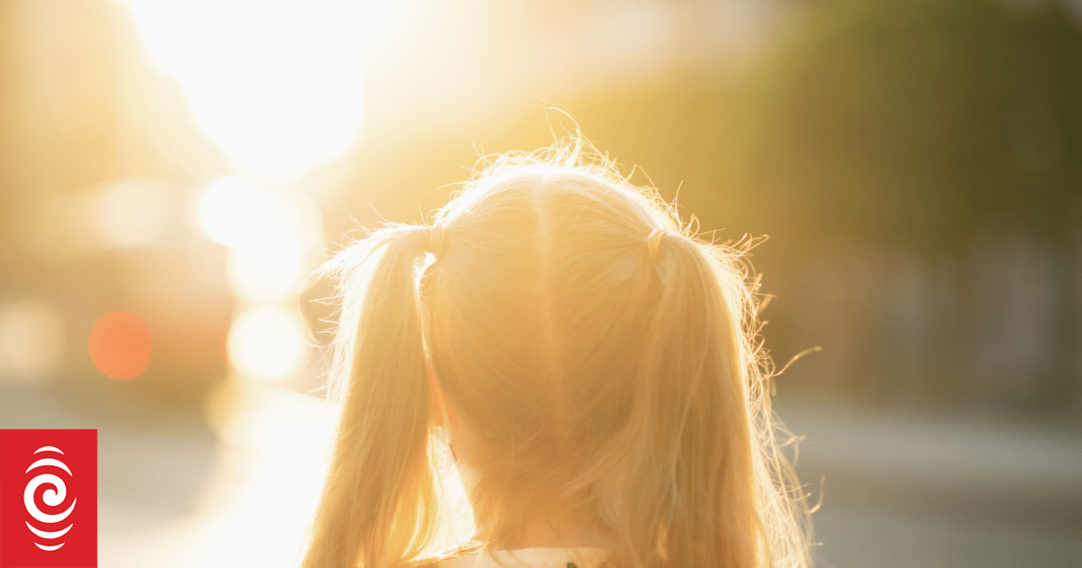 Mother sues school principal for defamation over emails to Family Court-appointed lawyer