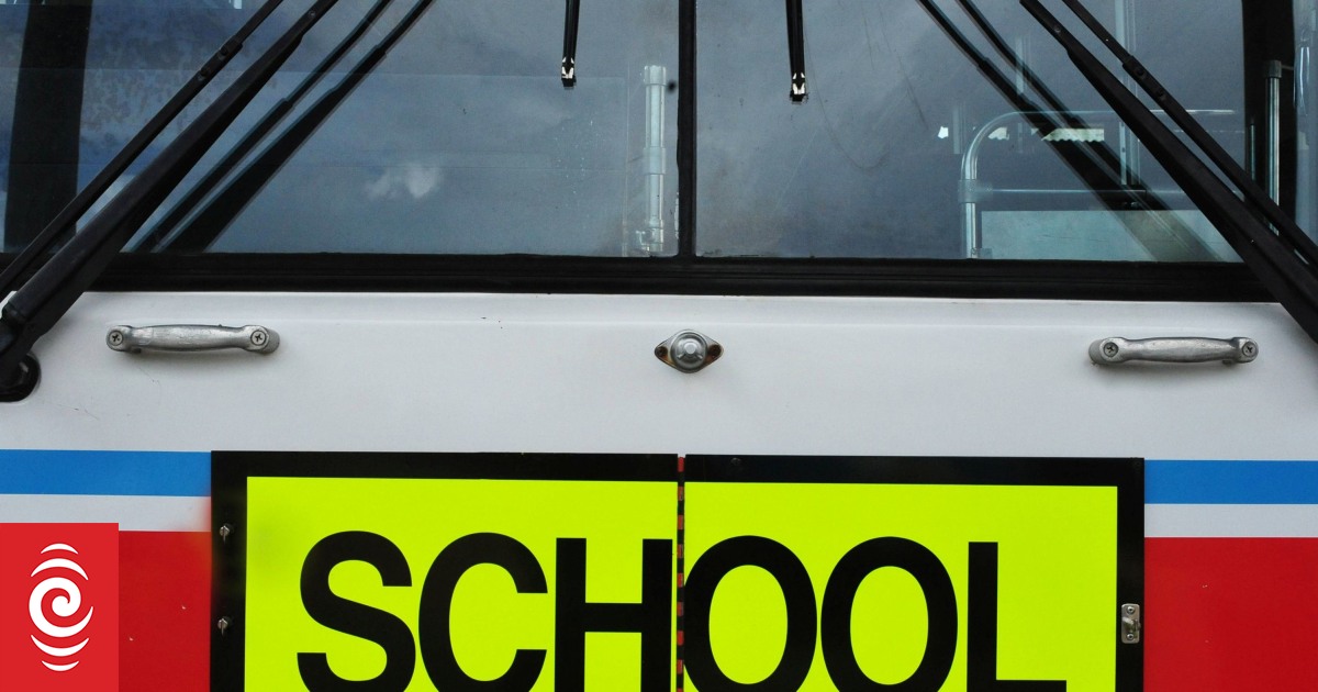 Axing Queenstown school buses could endanger students, impact attendance, principal says