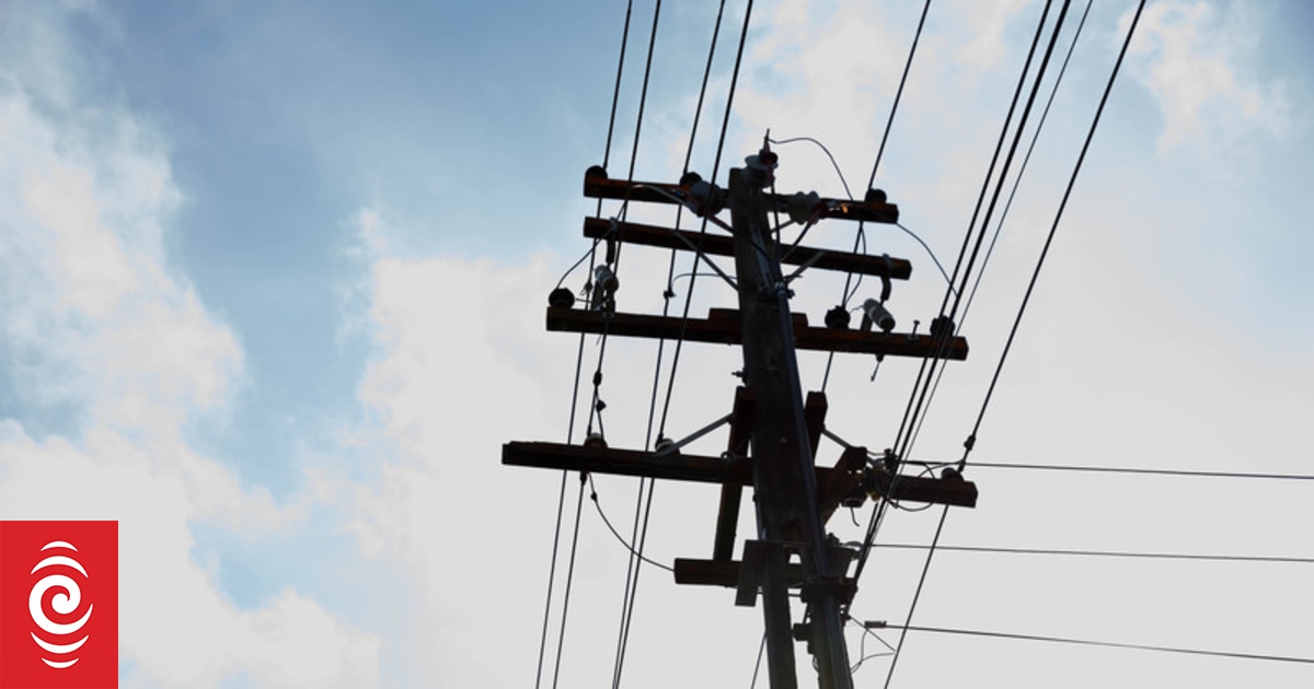 Majority back government intervention in power prices - poll