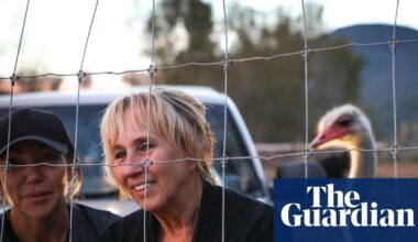 Canada: order to cull over 400 ostriches sparks protests and death threats | Canada