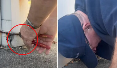 Incredible discovery in Aussie drain after 40-minute ordeal