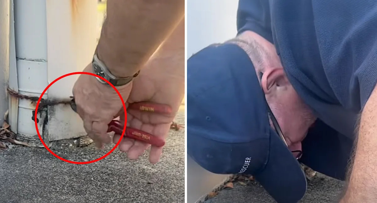Incredible discovery in Aussie drain after 40-minute ordeal