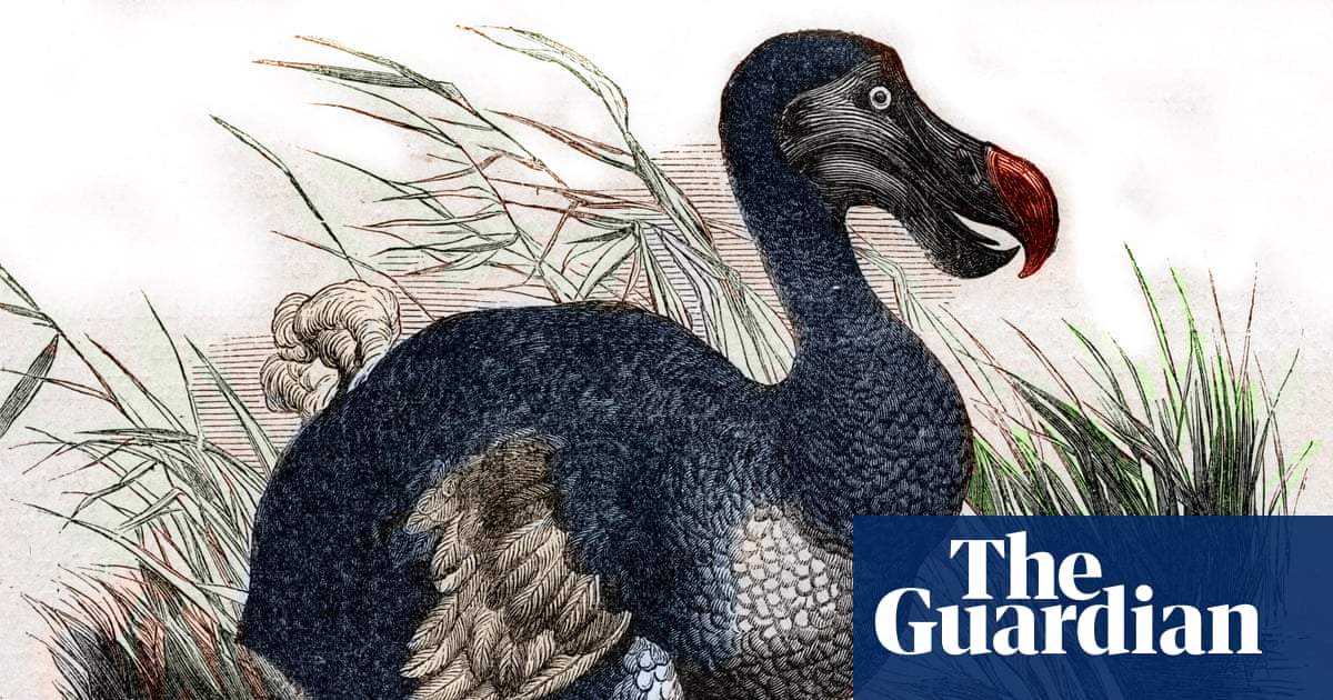 Scientists claim they’ve made ‘pivotal step’ in bringing back the dodo for first time in 300 years | Science